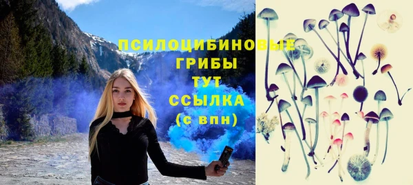 mdpv Рославль