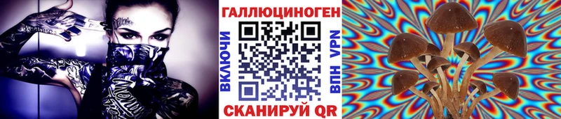 дарк нет формула Лосино-Петровский Псилоцибиновые грибы мицелий